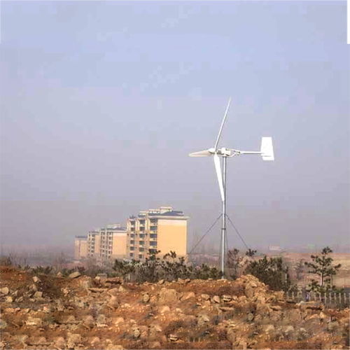 【永年定制产品低噪音风力发电机30kw小型风力发电机】- 